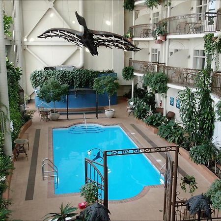 Hotel L'Oie Des Neiges Levis Ngoại thất bức ảnh