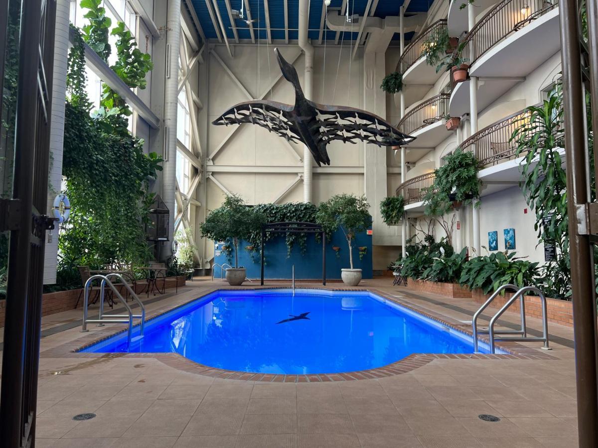 Hotel L'Oie Des Neiges Levis Ngoại thất bức ảnh