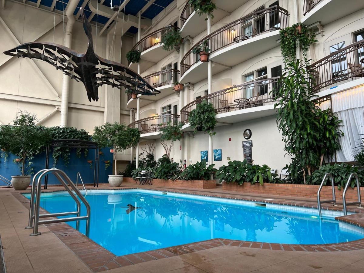 Hotel L'Oie Des Neiges Levis Ngoại thất bức ảnh