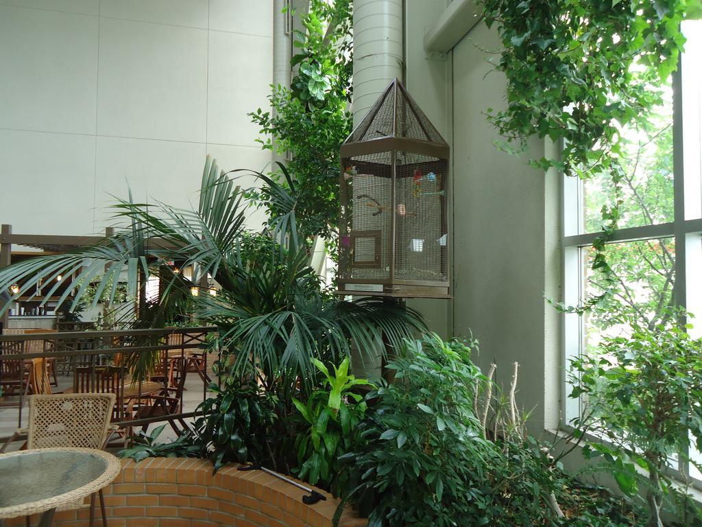 Hotel L'Oie Des Neiges Levis Ngoại thất bức ảnh