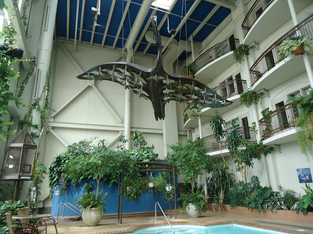 Hotel L'Oie Des Neiges Levis Ngoại thất bức ảnh